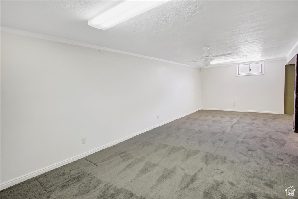 Basement featuring ceiling fan, carpet flooring, and a textured ceiling