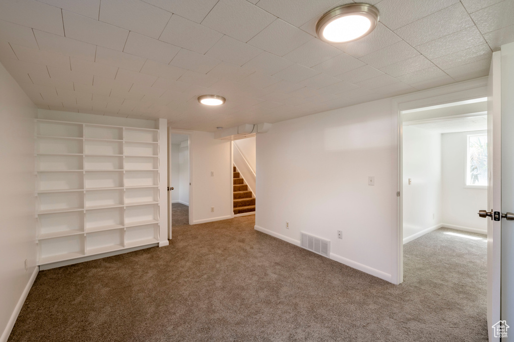 Basement featuring carpet floors and built in shelves