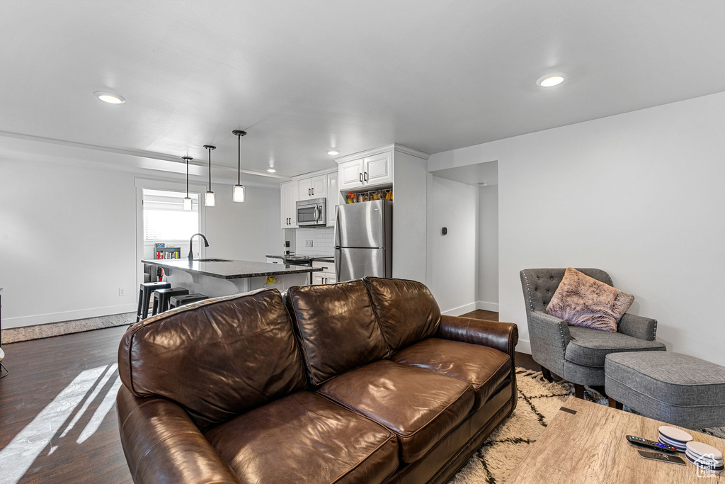 Living room featuring dark hardwood / wood-style flooring and sink