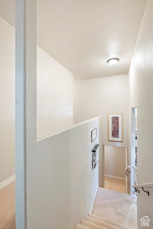 Stairs featuring light carpet