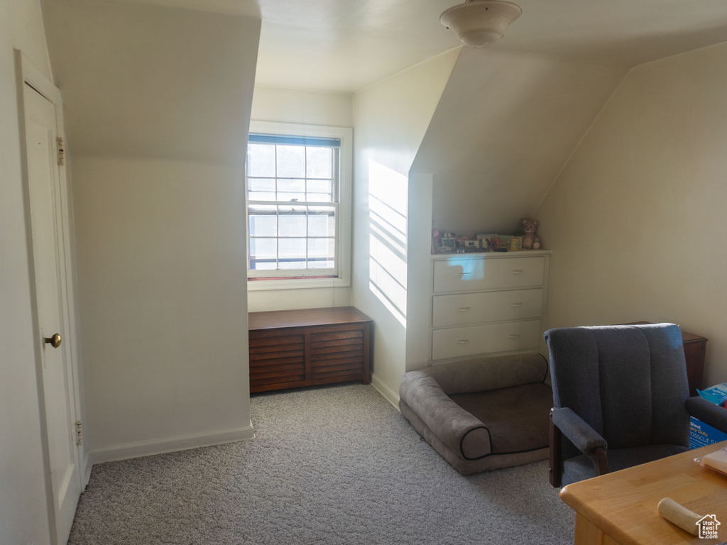 Bonus room featuring light colored carpet and vaulted ceiling