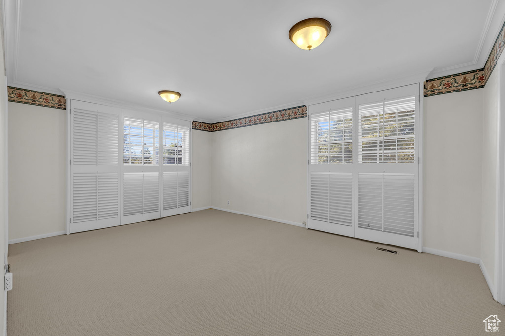 Empty room with plenty of natural light, carpet floors, and crown molding