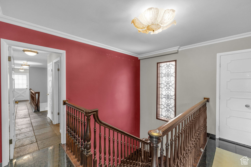Hall featuring crown molding and tile floors