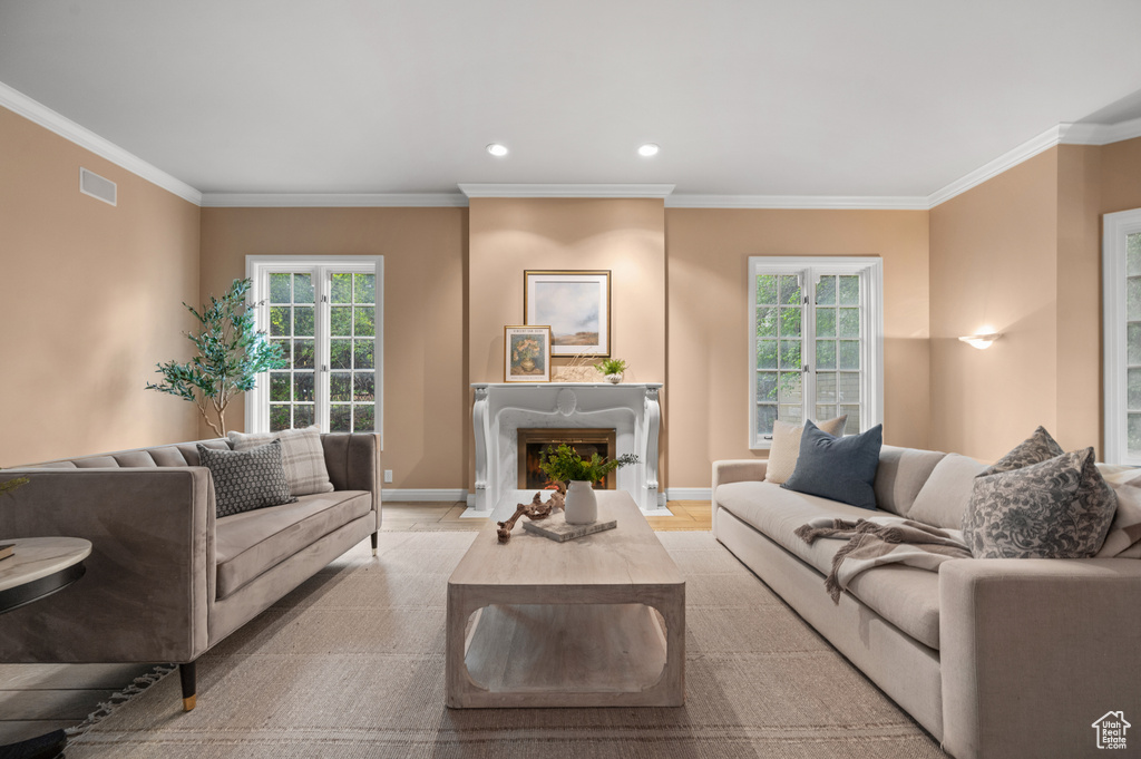 Living room featuring plenty of natural light, crown molding, and a premium fireplace