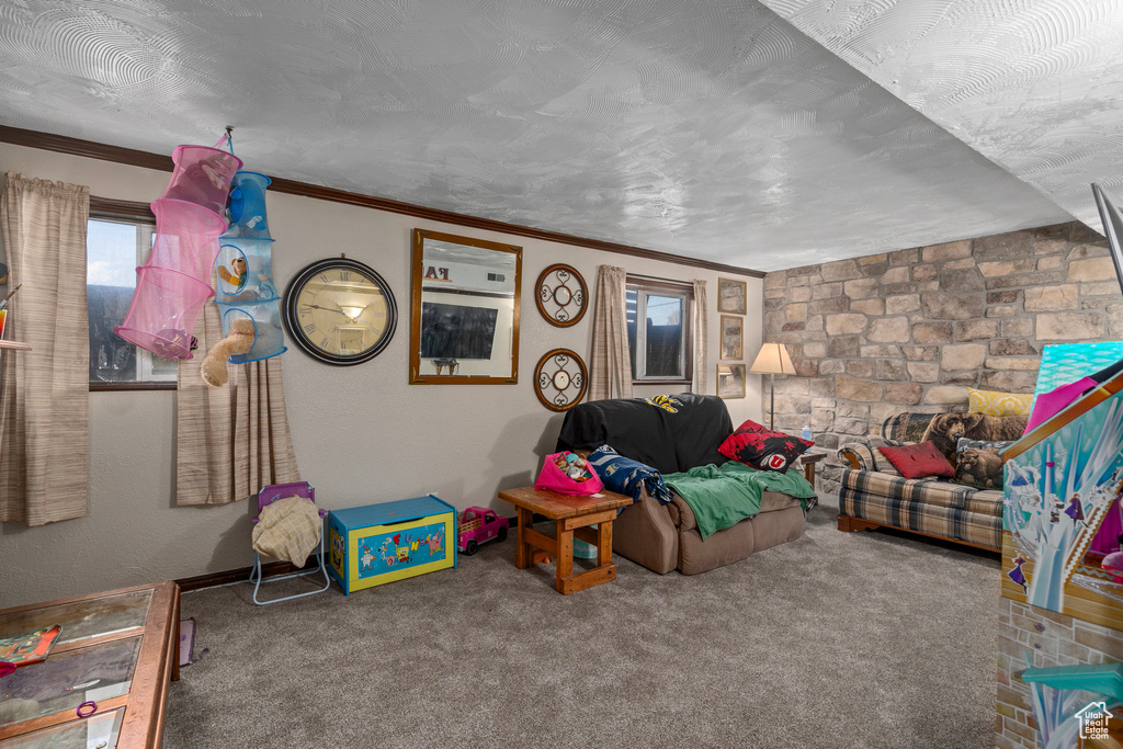 Playroom with carpet floors and ornamental molding