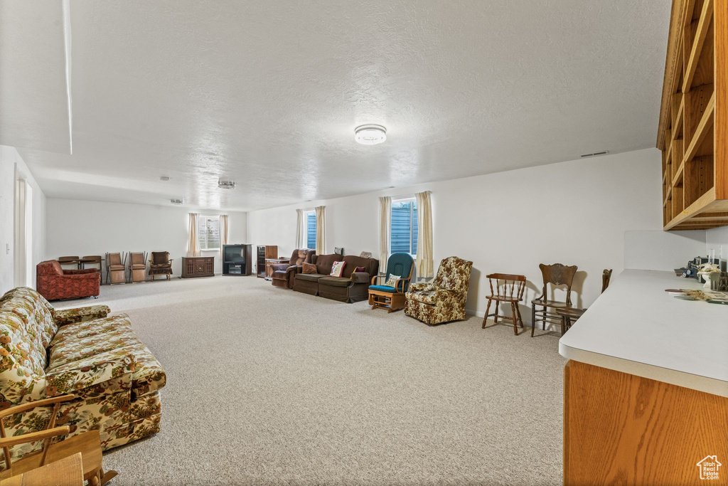 Living room with a textured ceiling and carpet flooring