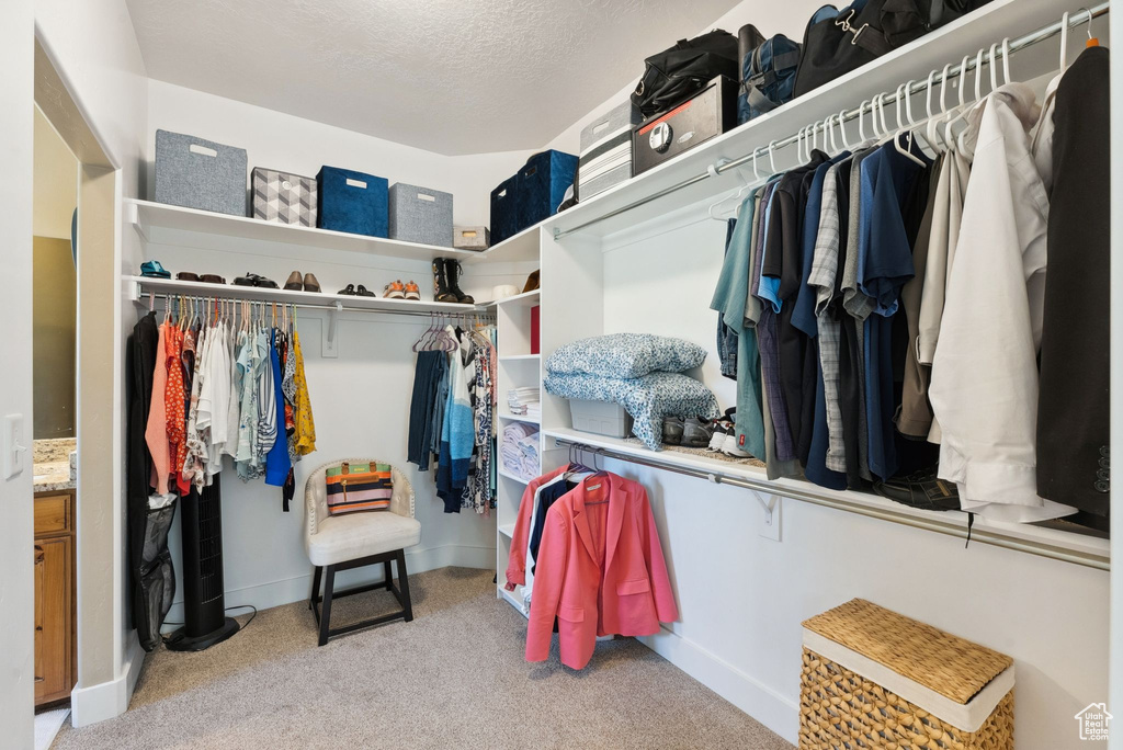 Walk in closet with carpet flooring