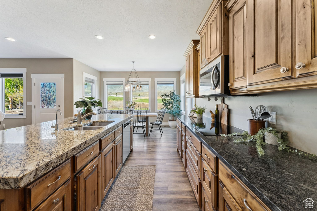 Kitchen featuring sink, a wealth of natural light, dark hardwood / wood-style floors, and stainless steel appliances