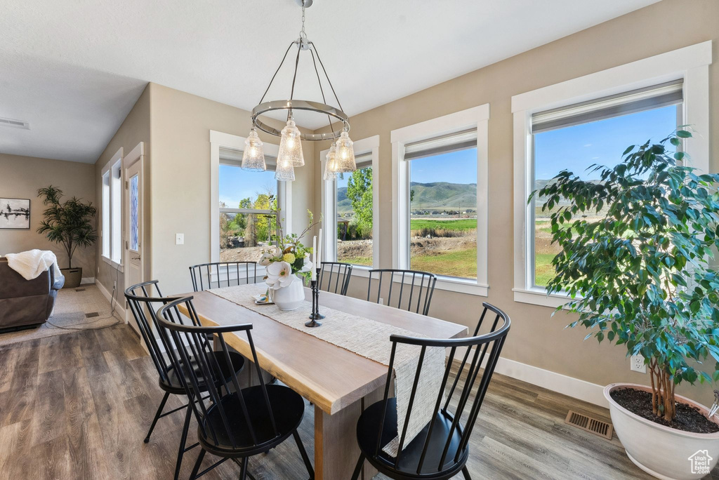 Dining room with a healthy amount of sunlight and wood-type flooring