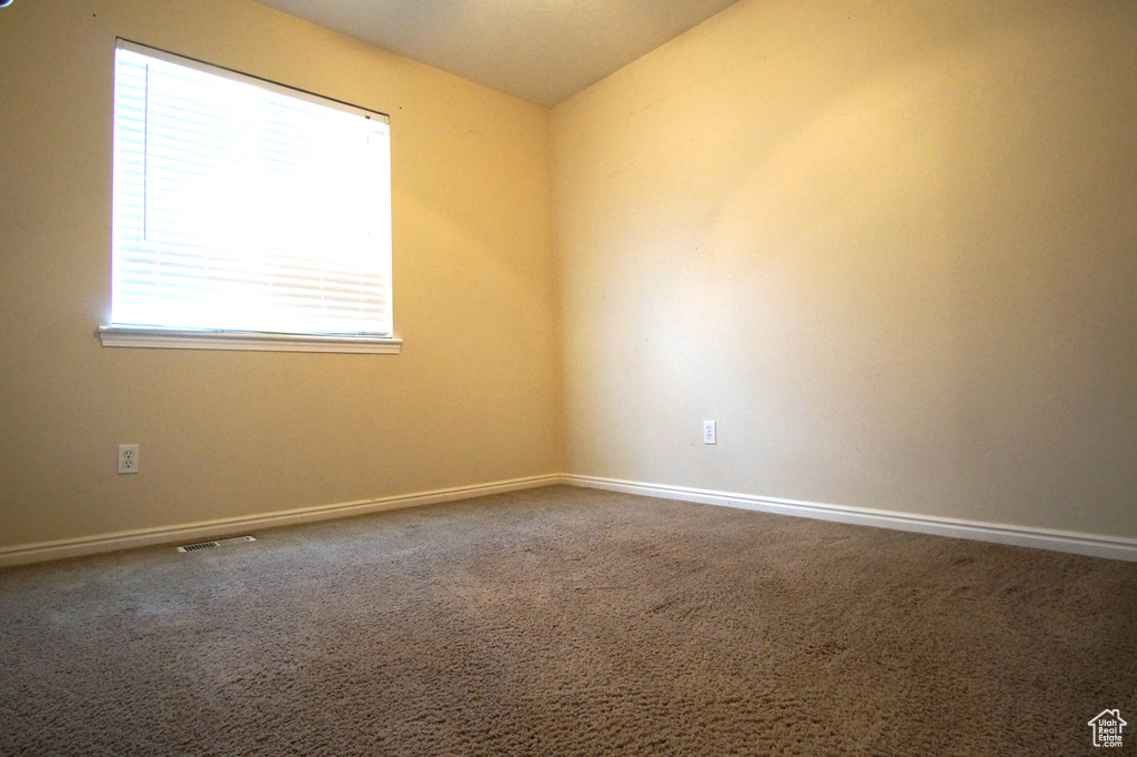 Unfurnished room featuring carpet flooring and a wealth of natural light