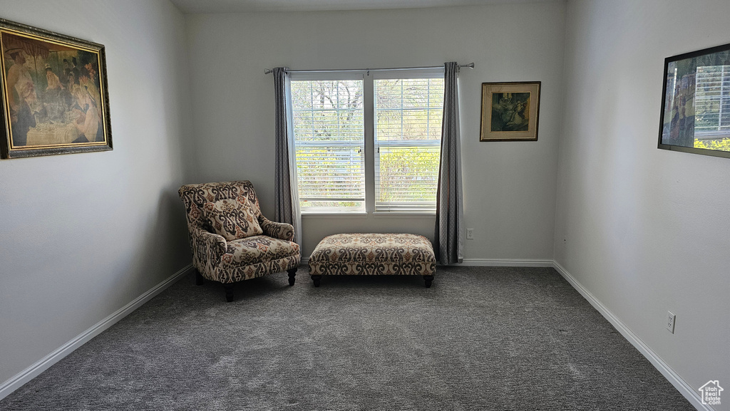 Sitting room with carpet floors