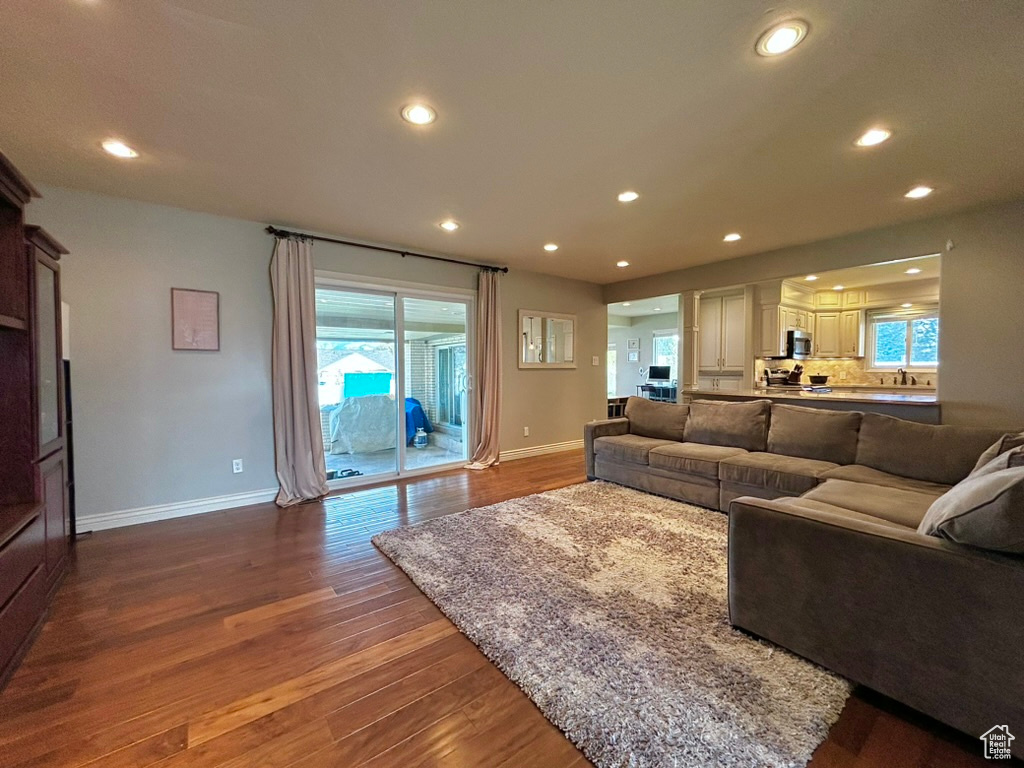 Living room featuring wood-type flooring