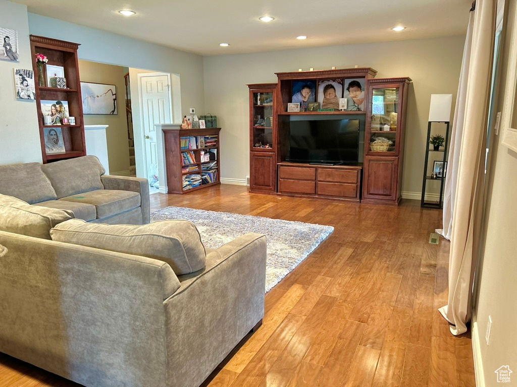 Living room featuring wood-type flooring