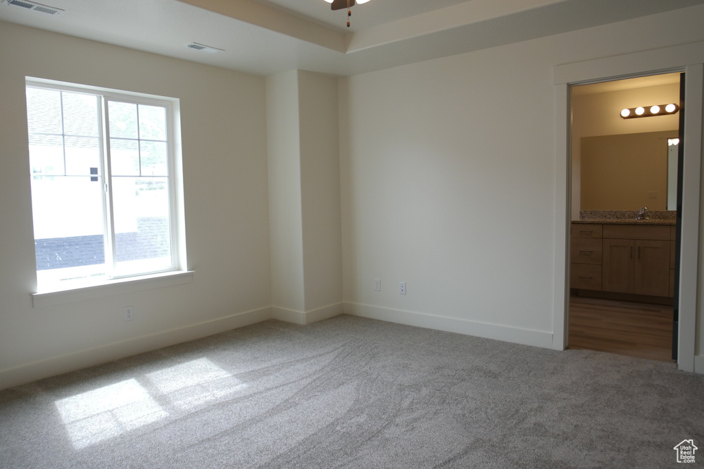 Empty room featuring light colored carpet and sink