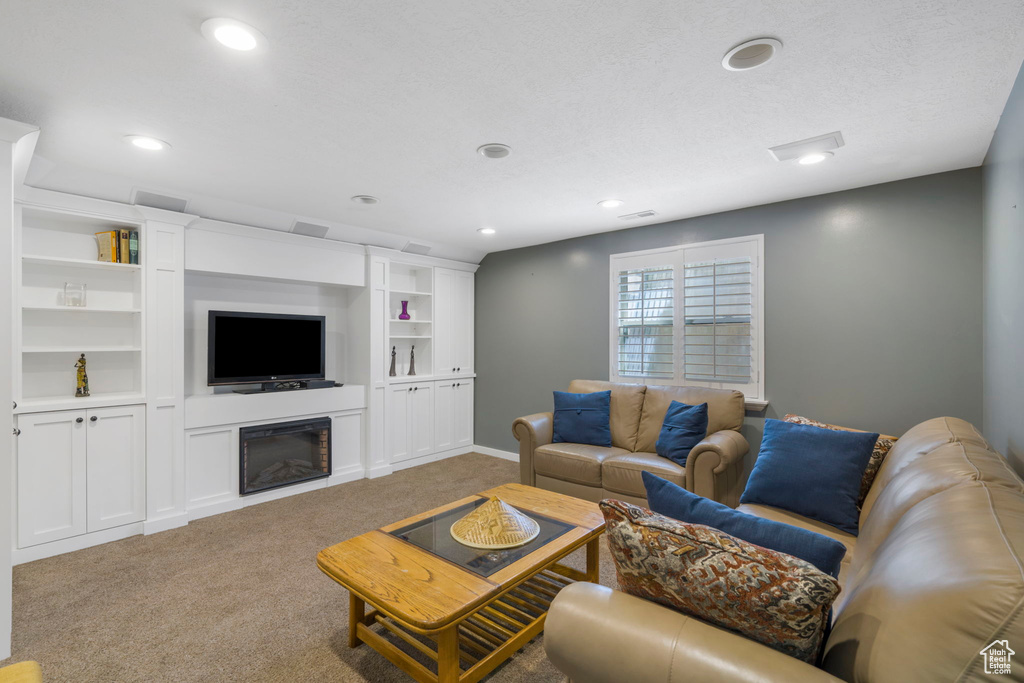 Carpeted living room featuring built in features