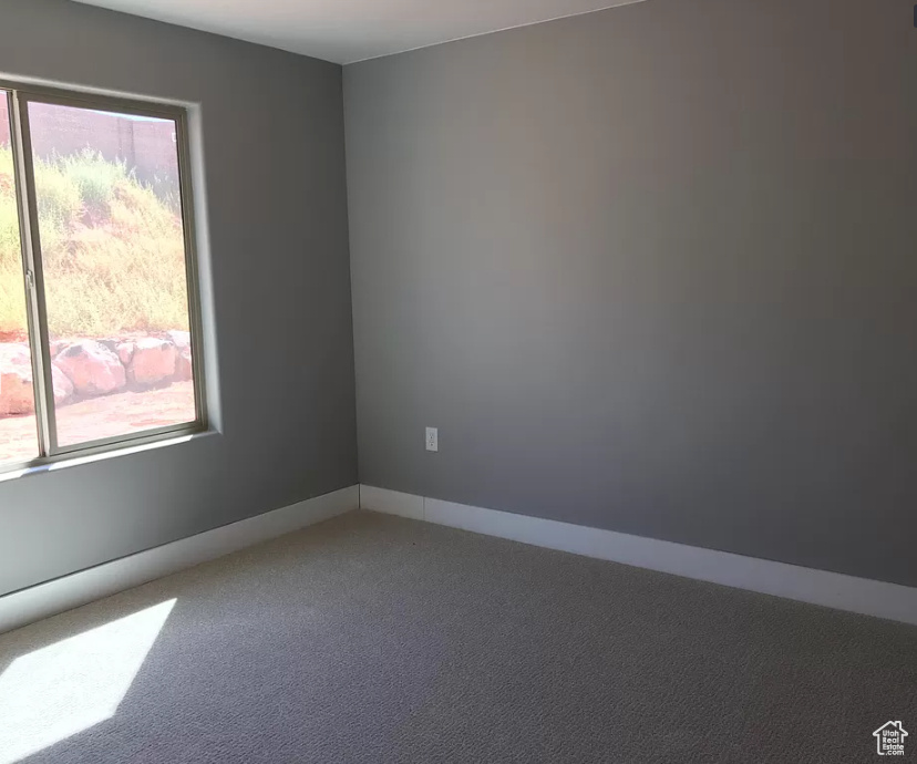 Unfurnished room with a wealth of natural light and carpet