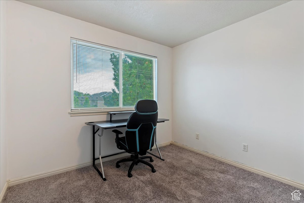 Office space featuring carpet