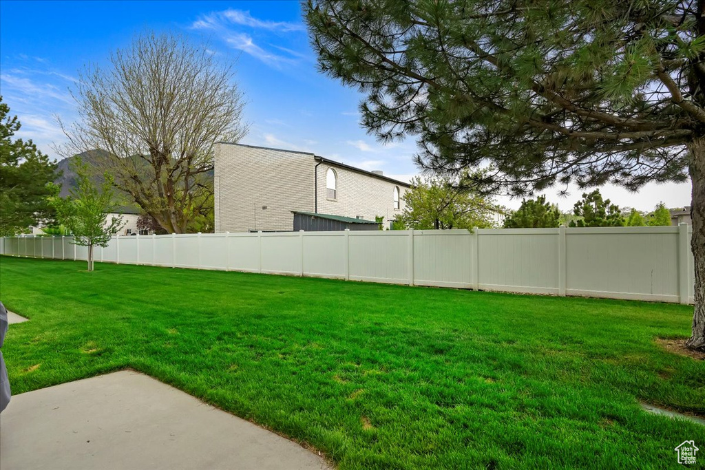 View of yard featuring a patio