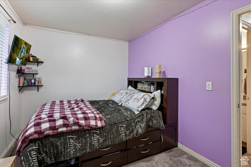 Bedroom with a textured ceiling, carpet, and multiple windows