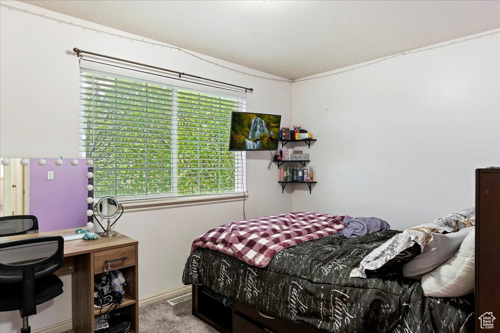 Carpeted bedroom featuring multiple windows