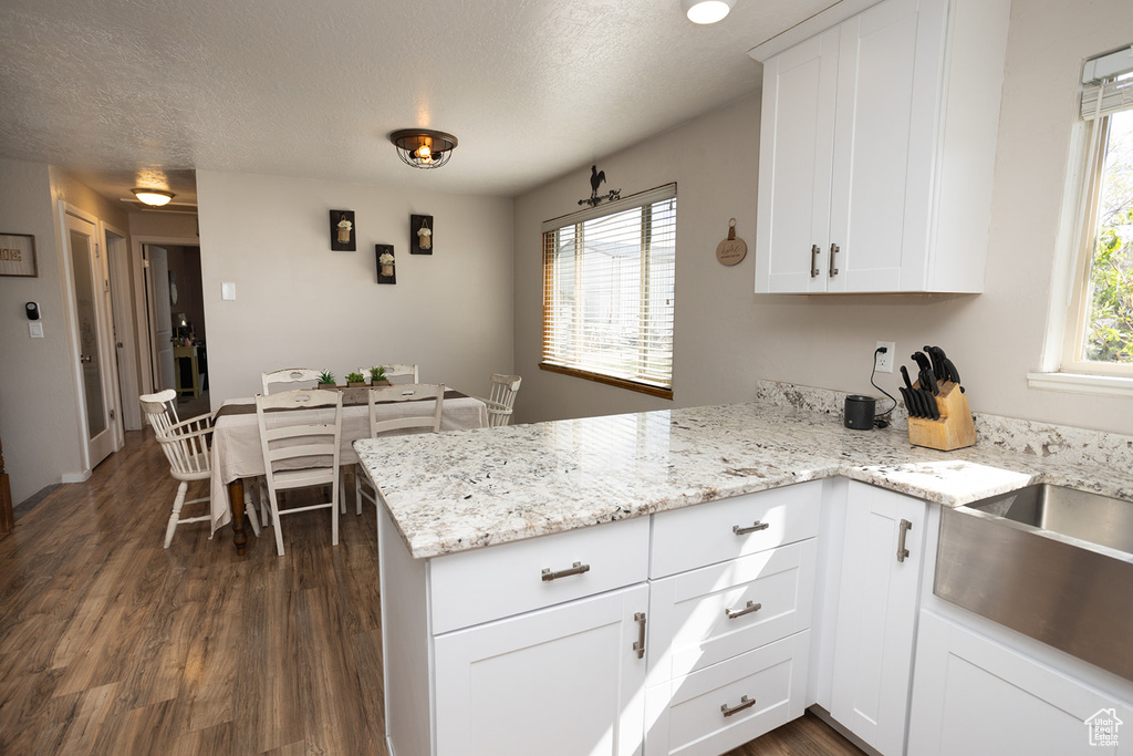 Kitchen with dark hardwood / wood-style floors, plenty of natural light, and kitchen peninsula