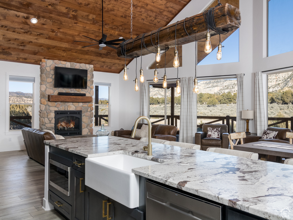 Kitchen featuring wood-type flooring, a fireplace, a wealth of natural light, and stainless steel appliances