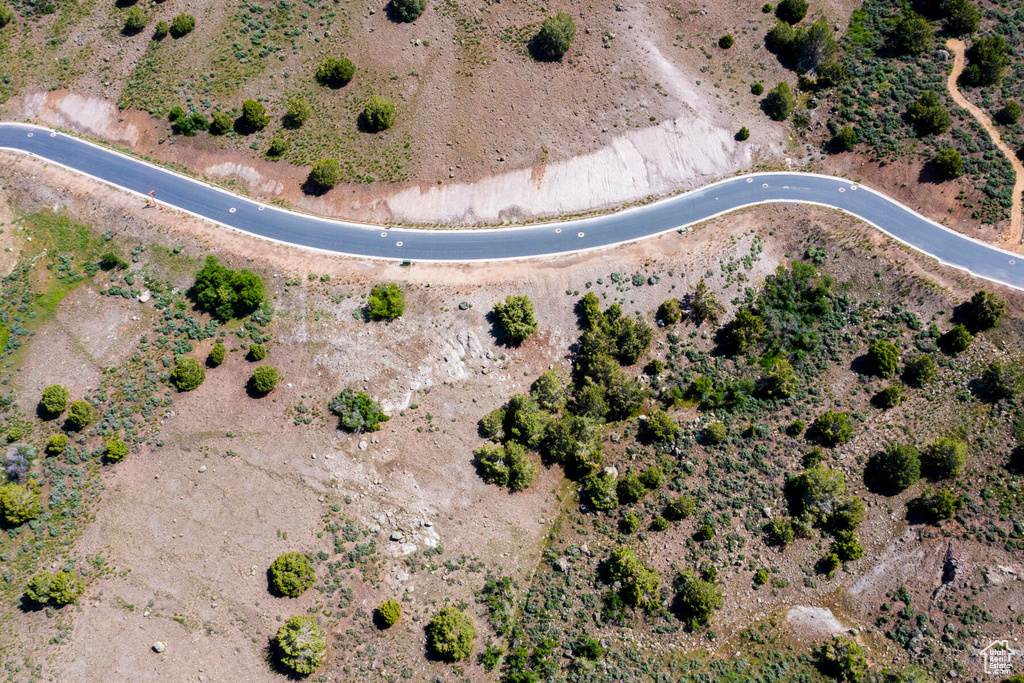 View of bird's eye view