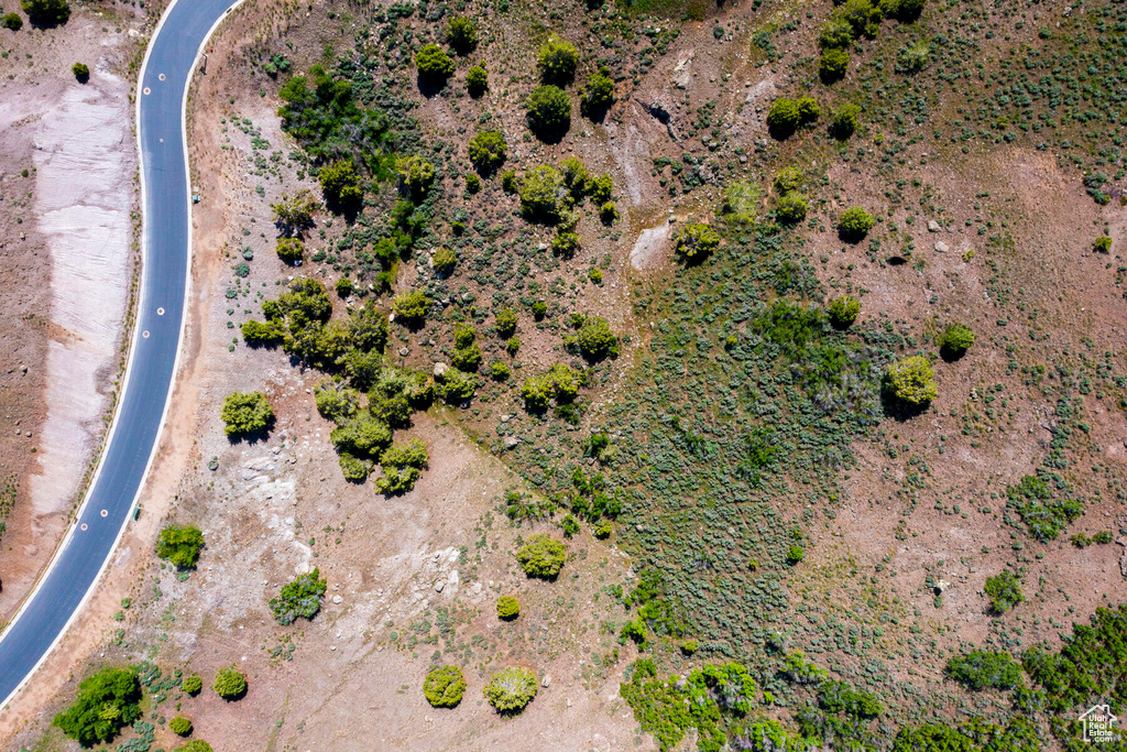 View of bird's eye view