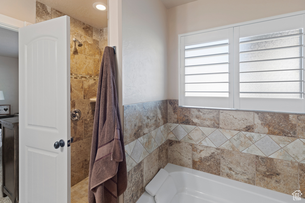 Bathroom with a healthy amount of sunlight and a washtub