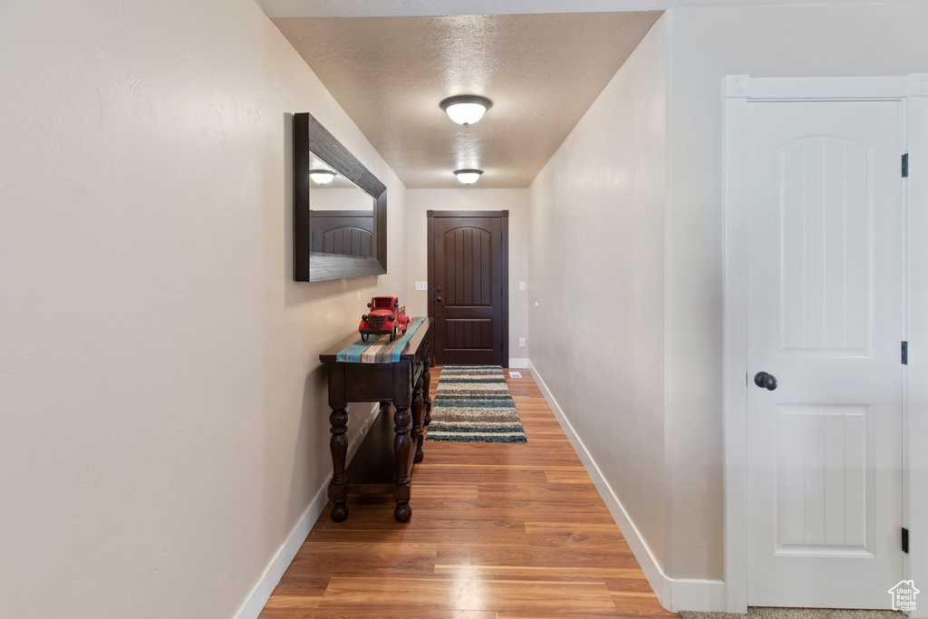 Doorway to outside featuring light hardwood / wood-style floors