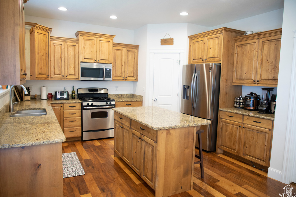 Kitchen with appliances with stainless steel finishes, sink, dark wood-type flooring, and a center island