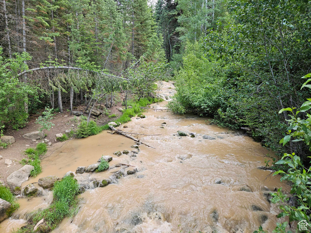 View of local wilderness featuring a water view