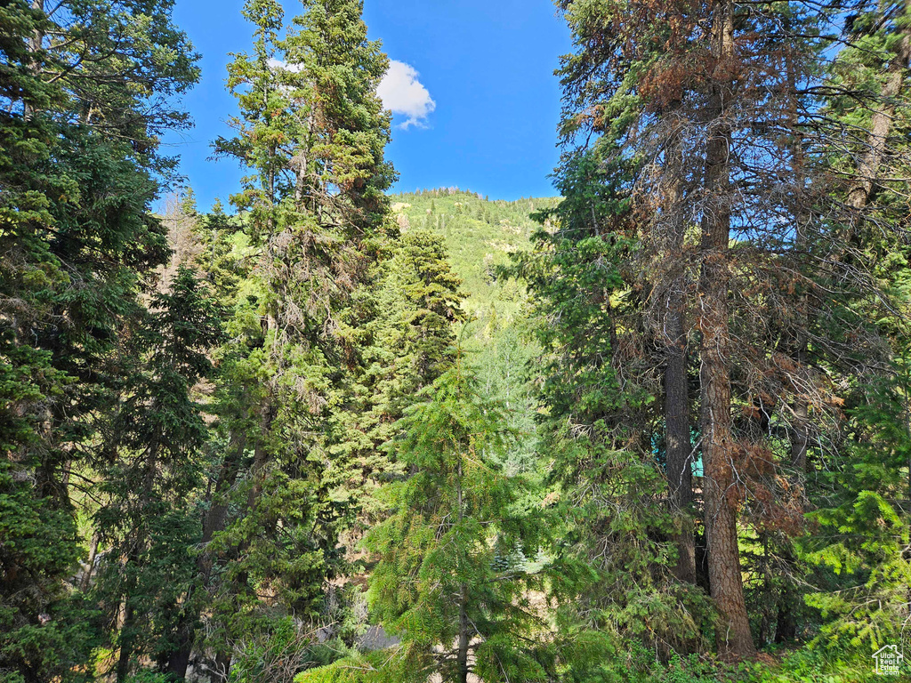 View of landscape