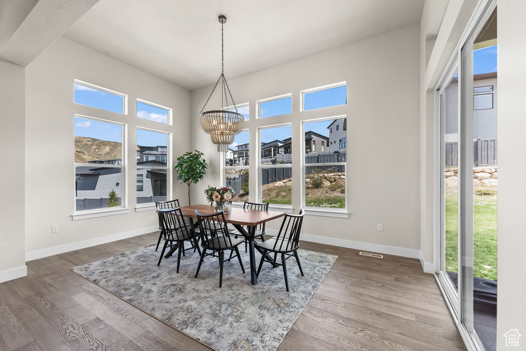 Dining space featuring a wealth of natural light and hardwood / wood-style floors