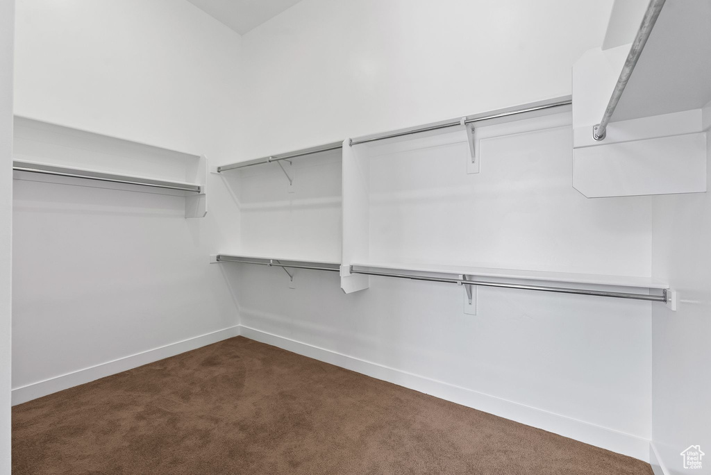 Walk in closet with dark carpet