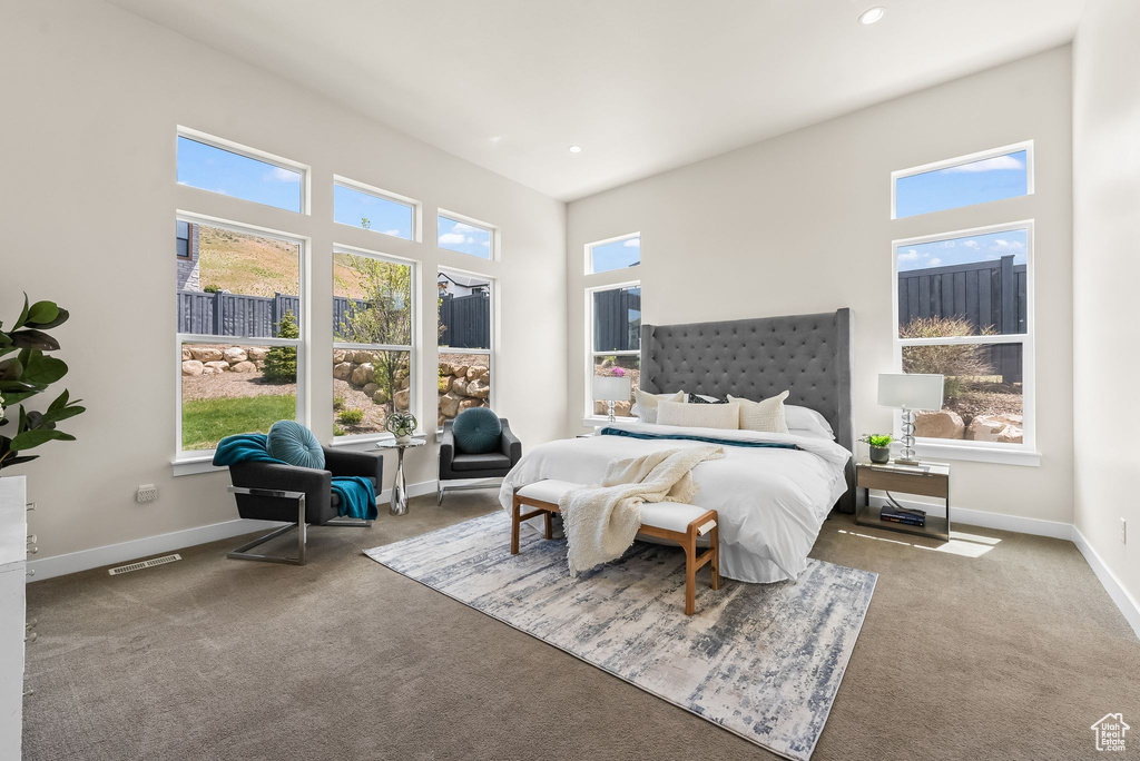 Bedroom featuring multiple windows and carpet floors