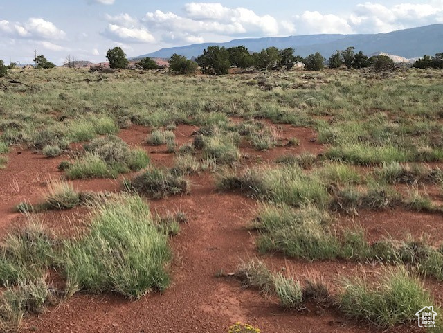 View of local wilderness with a mountain view