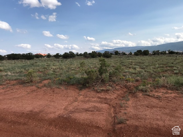 View of local wilderness with a mountain view