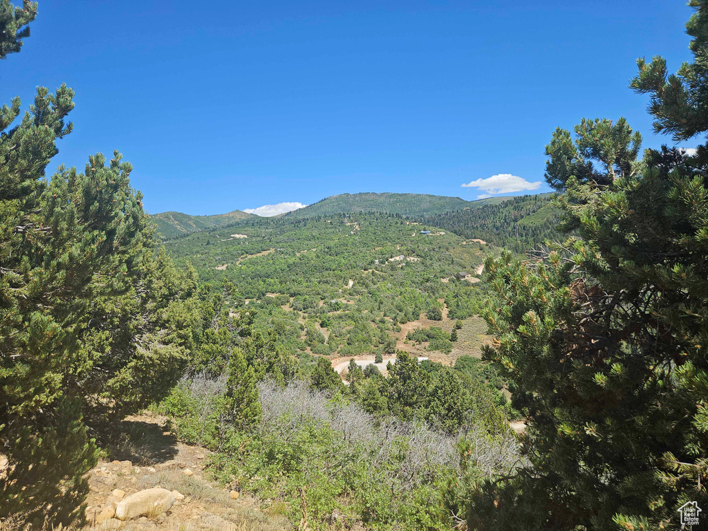 Mountain view with a heavily wooded area