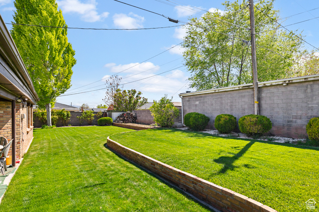 View of yard