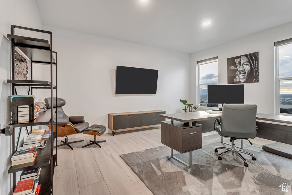 Office featuring light hardwood / wood-style flooring