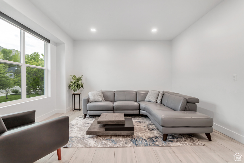 Living room with light hardwood / wood-style floors and a wealth of natural light