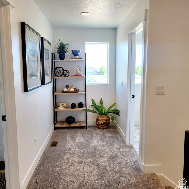 Mudroom with carpet and a textured ceiling