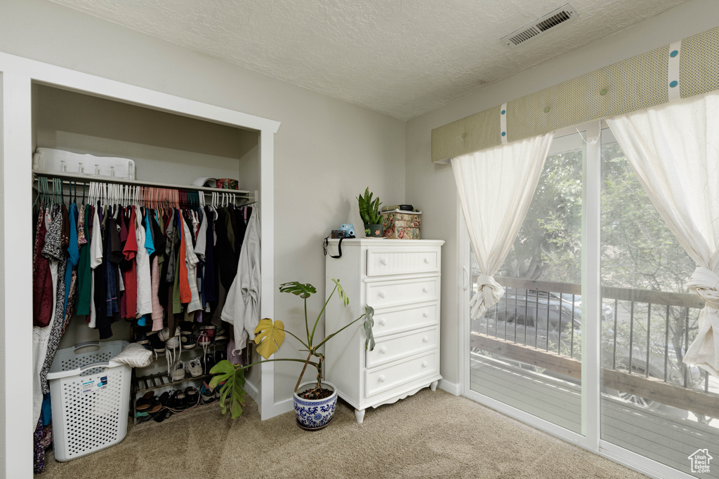 Carpeted bedroom with a closet, a textured ceiling, and access to outside
