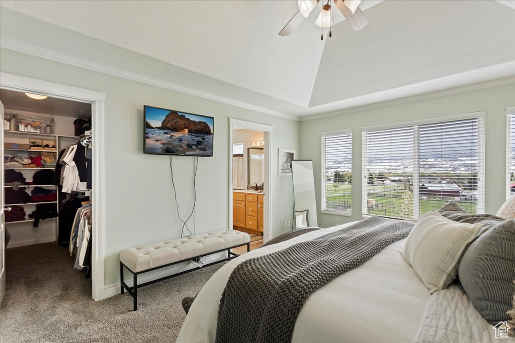 Bedroom featuring a closet, carpet flooring, ensuite bath, a spacious closet, and ceiling fan