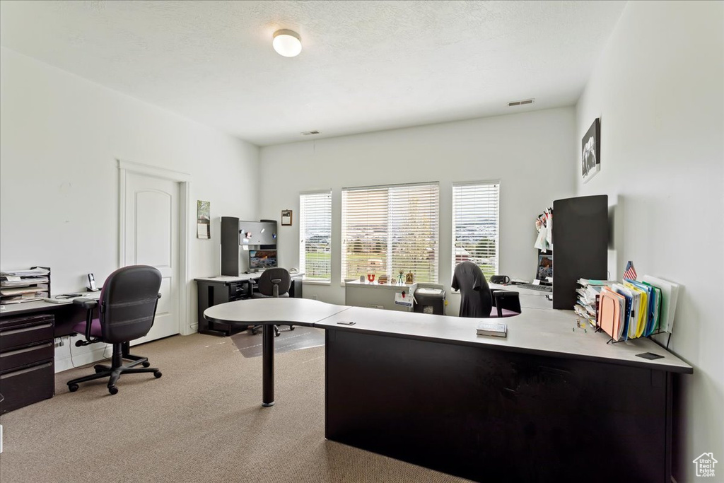 Office area featuring light carpet