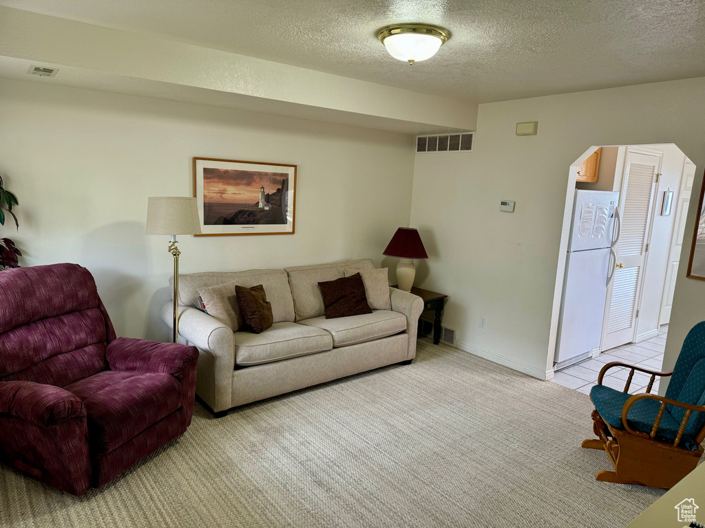 Living room featuring light colored carpet and a textured ceiling