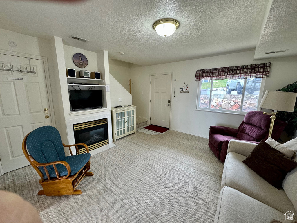 Carpeted living room with a textured ceiling