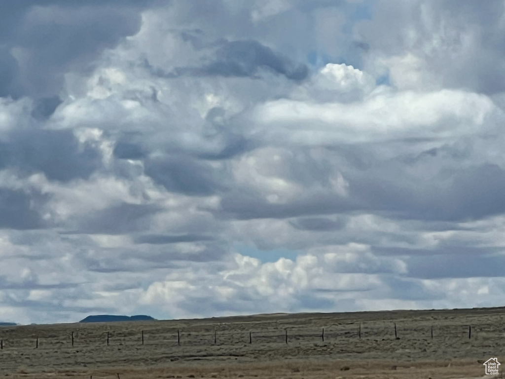 View of local wilderness with a rural view