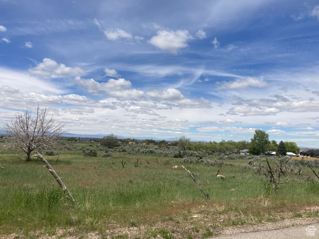 View of local wilderness with a rural view